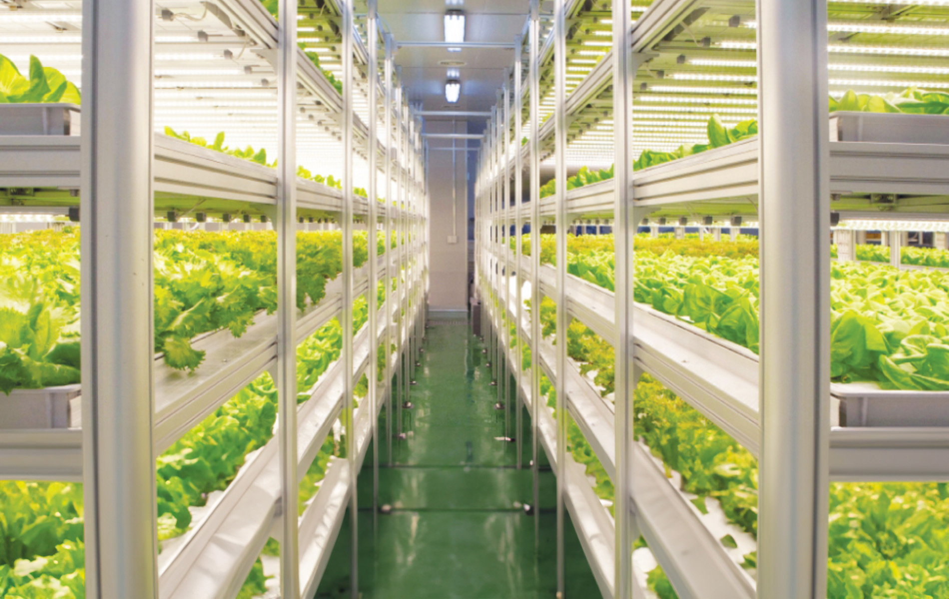 미래형 스마트팜 ‘수직형 농장’ 기술도 한국이 선도한다