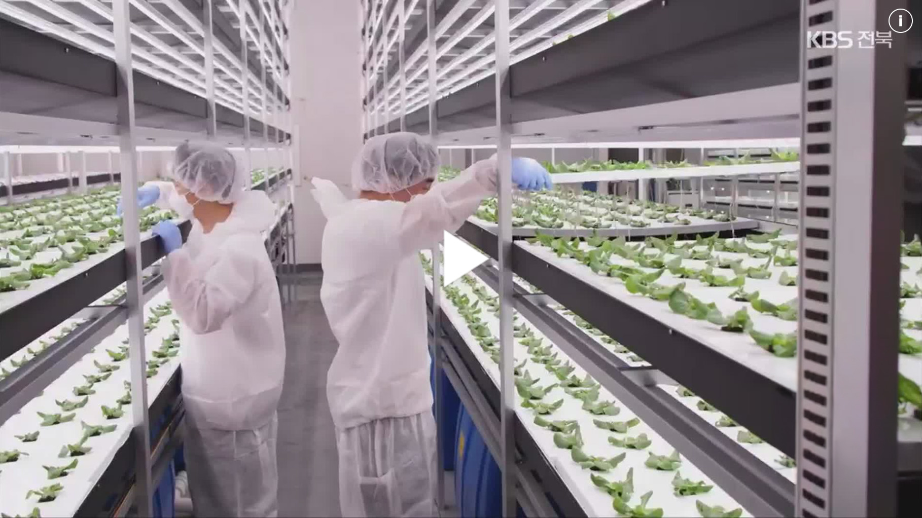 도심 속 수직농장 ‘인기’…진화 거듭하는 ‘스마트팜’